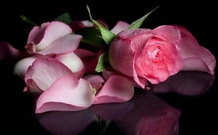 春暖花开｜3044永利 “三八妇女节”暖心送祝福