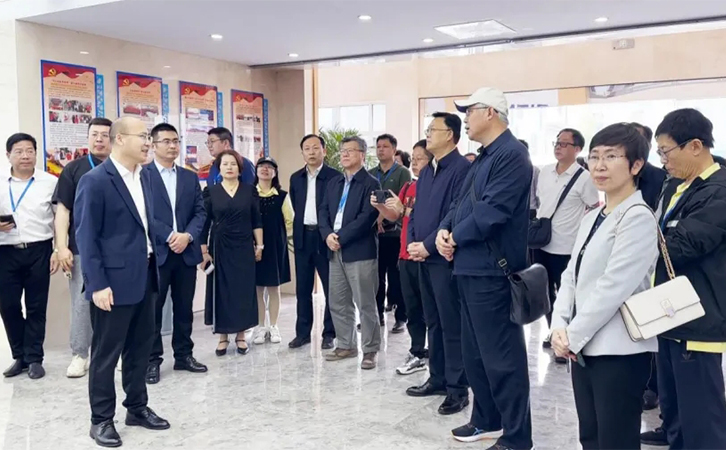 追梦中华·奋进新江苏丨2024海外华文媒体团走进3044永利