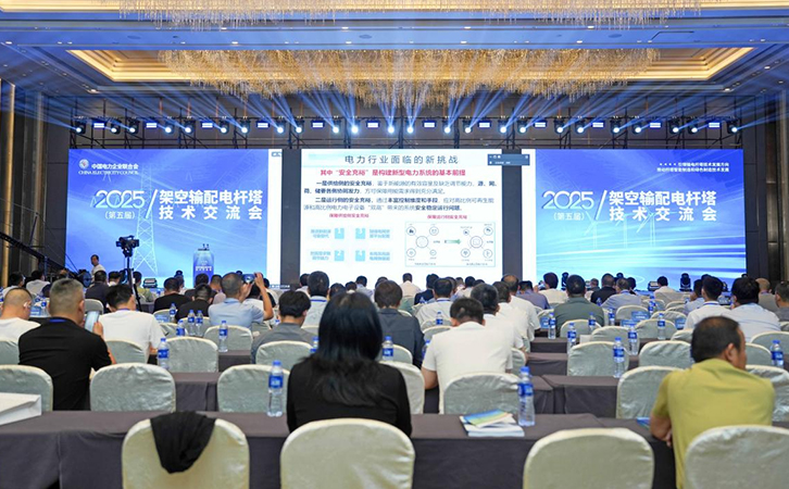 3044永利参加2025年（第五届）架空输配电杆塔技术交流会